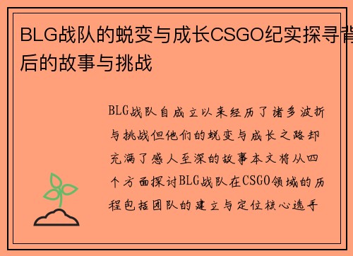BLG战队的蜕变与成长CSGO纪实探寻背后的故事与挑战